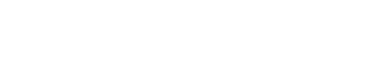 Netfabric Blog